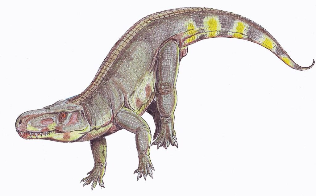 Life reconstruction of Batrachotomus kupferzellensis, a rauisuchian from the Middle Triassic of Germany, showing a quadrupedal reptile with a robust body, prominent back armour, and yellow markings on its tail.