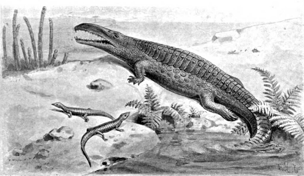 Vintage illustration of *Belodon*, a phytosaur from the Late Triassic, emerging from water with an armoured body and crocodile-like snout, while smaller reptiles swim nearby in a prehistoric swamp environment.