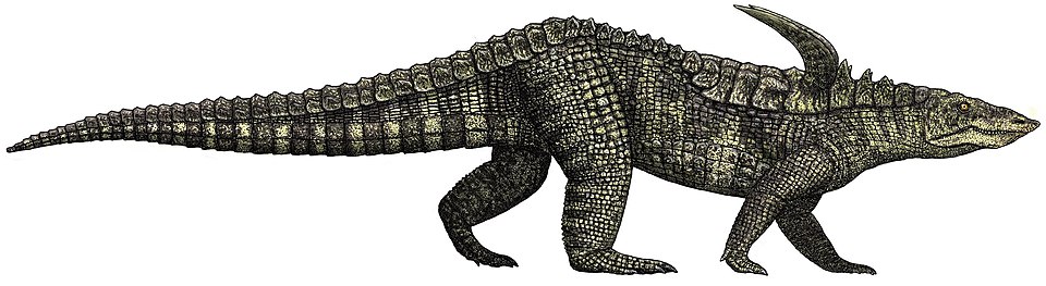 Life reconstruction of *Desmatosuchus spurensis*, a heavily armoured aetosaur from the Late Triassic, depicted with a low-slung body, robust limbs, and prominent shoulder spikes, covered in rows of bony plates along its back and tail.
