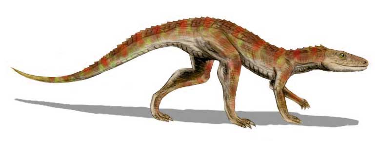 Life reconstruction of *Hesperosuchus*, a small Triassic crocodylomorph, depicted as a lightly built, agile reptile with long legs, a slender body, and reddish-brown markings along its back.