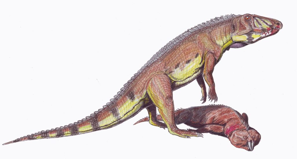 Life reconstruction of *Ornithosuchus*, a Triassic archosaur, shown standing over the carcass of a dicynodont. The animal is depicted with reddish-brown and yellow colouring, upright posture, and a crocodile-like head with visible teeth.