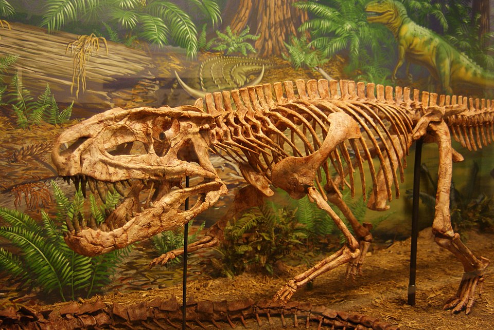 Mounted skeleton of Postosuchus, a large Triassic rauisuchian predator, displayed in a dynamic walking pose within a museum diorama featuring a lush prehistoric forest backdrop.