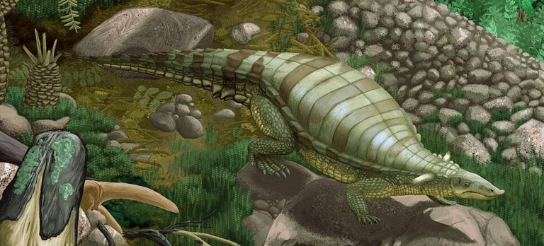 Life reconstruction of *Typothorax coccinarum*, a Late Triassic aetosaur, shown as a heavily armoured reptile with wide body plating and a narrow snout, walking over rocks in a forested environment.