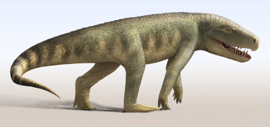 Life reconstruction of *Venaticosuchus*, a Late Triassic ornithosuchid, shown as a robust quadruped with a short, deep snout, sharp teeth, and a muscular body covered in mottled green and brown skin.
