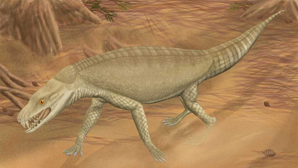 Life reconstruction of *Armadillosuchus*, an extinct notosuchian crocodyliform, shown walking on sandy terrain with a stocky body, armour-like back, scaly skin, and sharp teeth, resembling a blend between a crocodile and an armadillo.