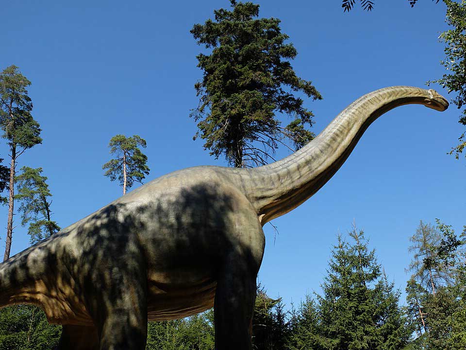 Model of Brachiosaurus at Dinopark Denkendorf, shown among tall trees under a clear blue sky.