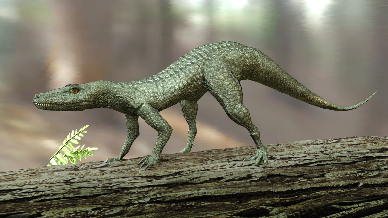 Life reconstruction of an early crocodylomorph, shown walking on a tree trunk over water. The animal is small and lightly built with a long tail, scaly skin, and an alert posture, representing the agile ancestors of modern crocodilians.
