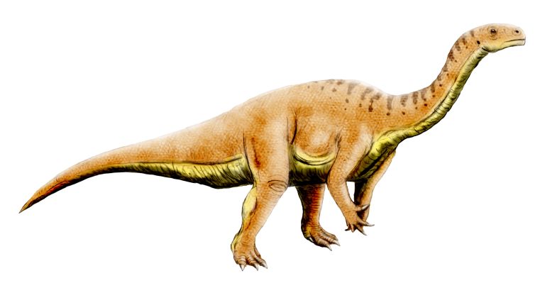 Illustration of a Leonerasaurus dinosaur standing on its hind legs, showcasing its impressive stature and features.