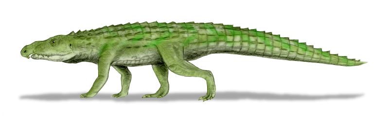 Full-body illustration of Riojasuchus, depicted as a green, armoured quadruped with a long tail and a crocodile-like posture.