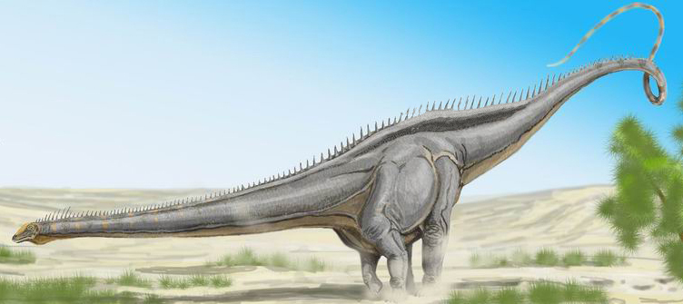 Life reconstruction of Diplodocus hallorum, formerly known as Seismosaurus, showing its extremely long neck and tail in a desert landscape.