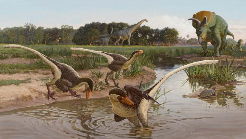Life reconstruction of Dineobellator notohesperus. Three species are in (or near) water washing and/or drinking. A Triceratops is walking towards the water. Two Alamosaurus sanjuanensis are in the background walking by large trees. 