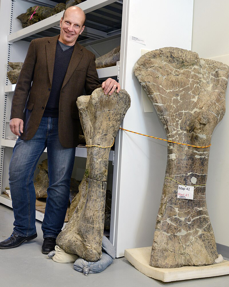 Dr. Kenneth J. Lacovara and the fibula (2/3 his height) and humerus (almost his full height and much wider) of Dreadnoughtus schrani.