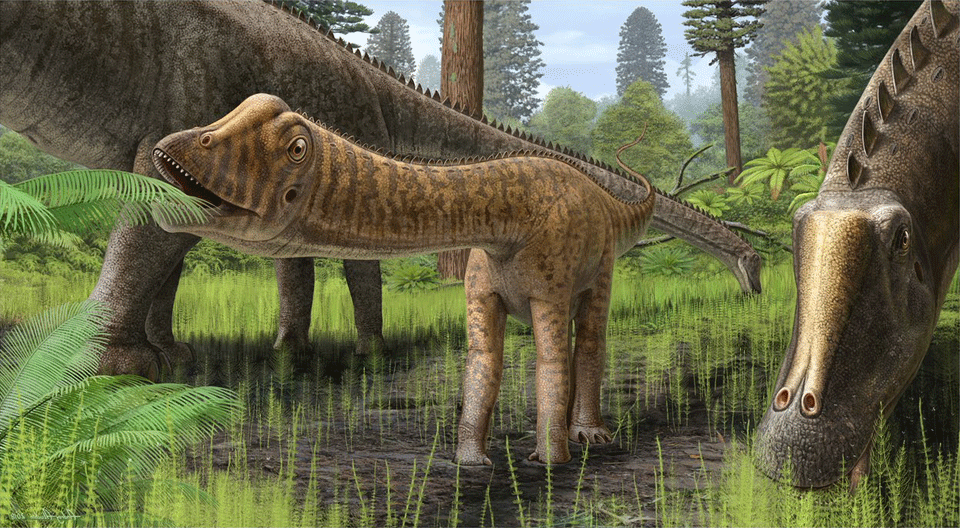 Life reconstruction of young diplodocid eating flora in a forrest setting.